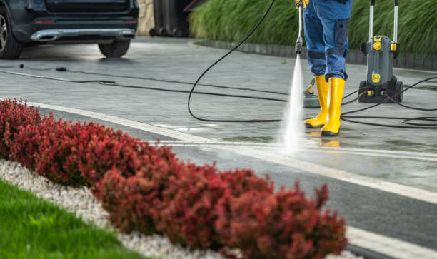 Best Sidewalk and Walkway Cleaning  in Wade Hampton, SC
